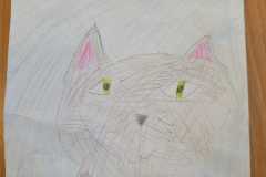IMG-20251002-WA0010