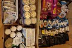 IMG-20251008-WA0001