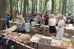 IMG-20240608-WA0007
