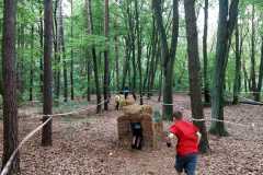 IMG-20240608-WA0022