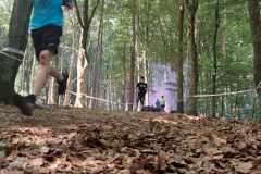 IMG-20240608-WA0024