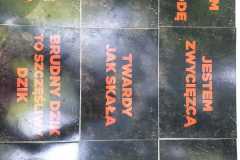 IMG-20240608-WA0034