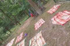 IMG-20250624-WA0019