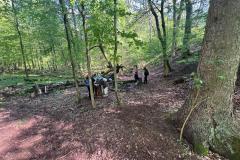 IMG-20240513-WA0011
