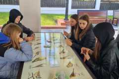 IMG-20240513-WA0018