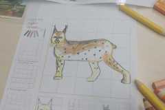 IMG-20240513-WA0033