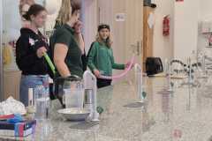 IMG-20260518-WA0004
