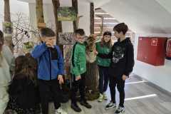 IMG-20260518-WA0012