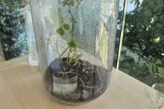 IMG-20260518-WA0016