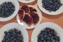 IMG-20240525-WA0000