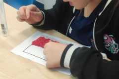 IMG-20241106-WA0003