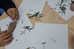 IMG-20241112-WA0005