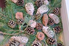 IMG-20241112-WA0007
