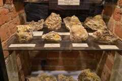 IMG-20250923-WA0056