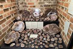 IMG-20250923-WA0059