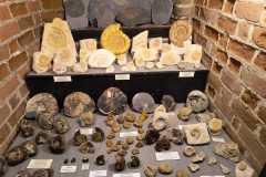 IMG-20250923-WA0061