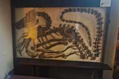 IMG-20250923-WA0068