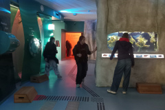 20251010_152533