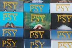 IMG-20250528-WA0006