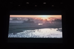 20260424_111021