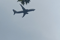 20250530_155318