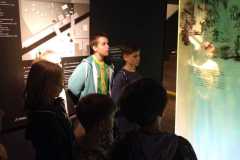 IMG-20250609-WA0037