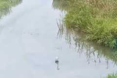IMG-20250609-WA0094