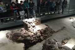 IMG-20250609-WA0137