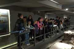 IMG-20250609-WA0144