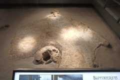 IMG-20250609-WA0148