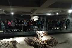IMG-20250609-WA0151