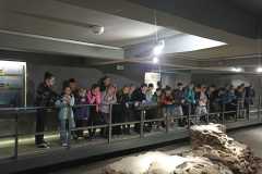 IMG-20250609-WA0155