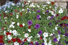 IMG-20250609-WA0174