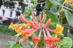 IMG-20250609-WA0197