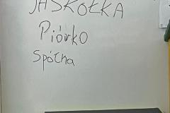 IMG-20250611-WA0012