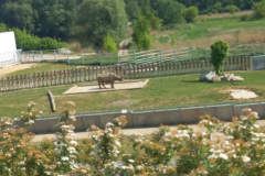 20240508_151452