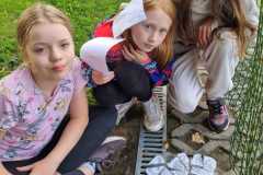 IMG-20250610-WA0009