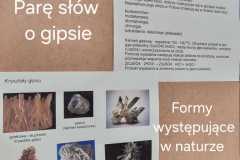 IMG-20250610-WA0014