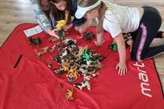 IMG-20250610-WA0019