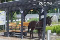 IMG-20250610-WA0029