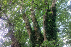 20260610_101811-—-kopia