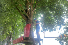 20260612_103434-—-kopia